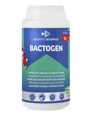 Bactogen 12 m³ – bactéries sporulées pour filtration bassin koi