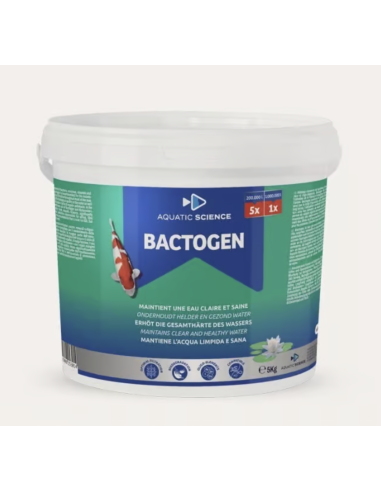 Bactogen 200 m³ – bactéries sporulées pour filtration bassin koi