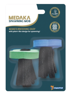 medaka-spawning-mob