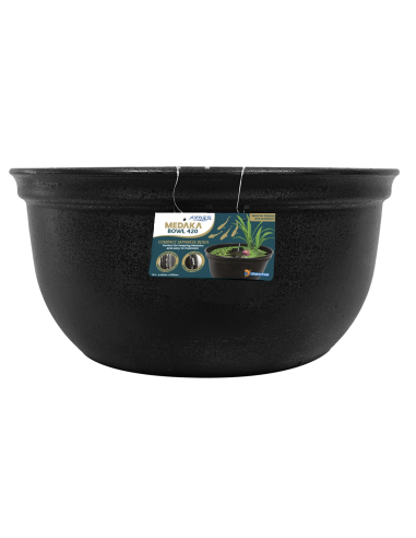medaka-bowl-420
