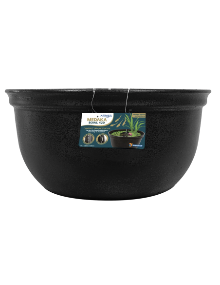 medaka-bowl-420