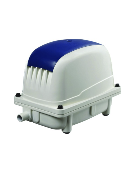 AERATION BASSIN CARPES KOI