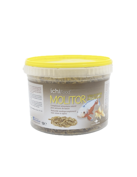 VERS DE FARINE, friandise pour carpes koi