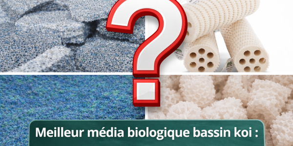 Média biologique bassin koï : lequel choisir pour une filtration efficace ?
