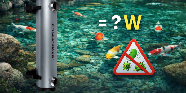 Quelle lampe UV choisir pour son bassin à koï ?