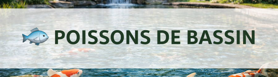 Poissons de bassin