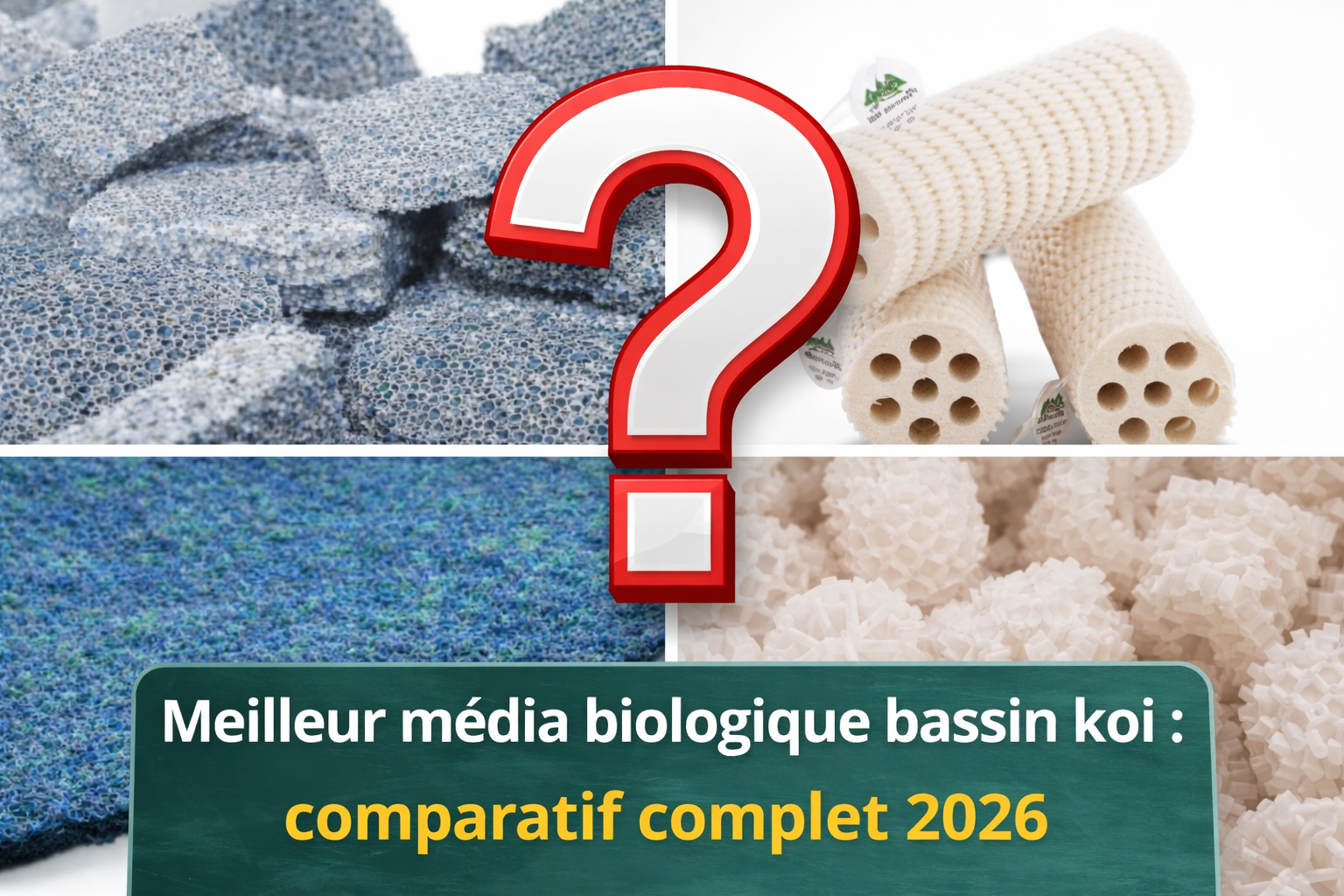 Média biologique bassin koï : lequel choisir pour une filtration efficace ?